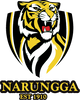 Narungga Football Netball Club